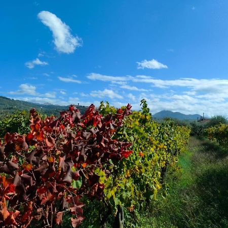 La Casa Vecchia Bed&Breakfast Bed & Breakfast Caniparola di Fosdinovo Exterior photo